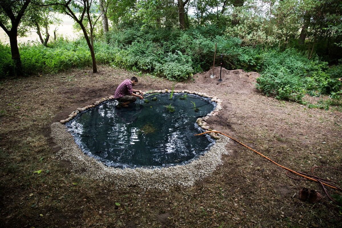 Sascha Borrée steht in seinem selbstgebauten Teich und pflanzt Wasserpflanzen ein 
