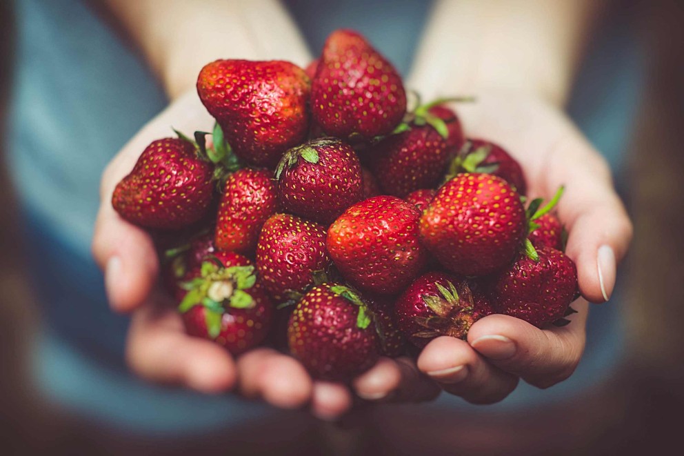 Aardbeien kweken | HORNBACH