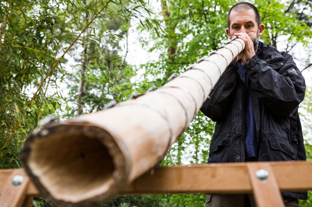 Jetzt oder nie: Sascha baut sich ein Didgeridoo