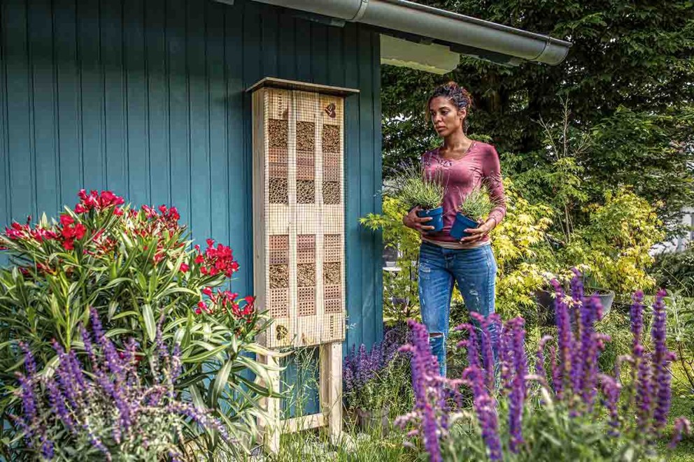 Insectenhotel voor een duurzame tuin . HORNBACH