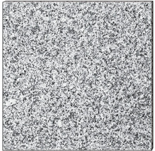 Granit Terrassenplatte grau 40 x 40 x 3 cm-thumb-2