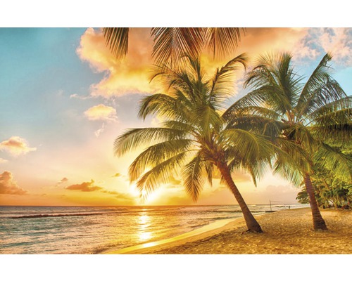 Fototapete Vlies Barbados Palm Beach 250 x 180 cm-0