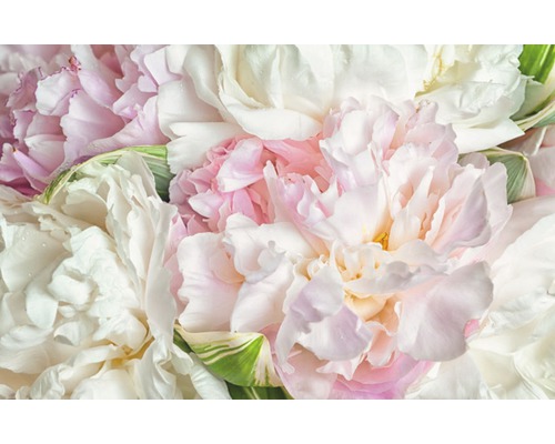Fototapete Vlies 18052 Blooming Peonies 7-tlg. 350 x 260 cm