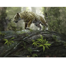 Fototapete Vlies Jaguar on the Prowl 350 x 260 cm-thumb-0