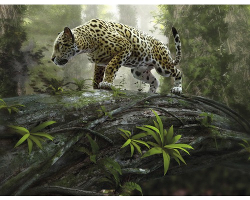 Fototapete Vlies Jaguar on the Prowl 350 x 260 cm-0