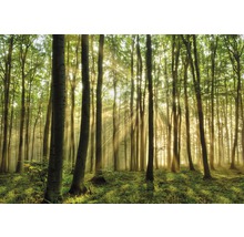 Fototapete Vlies 18216 Forest 7-tlg. 350 x 260 cm-thumb-0