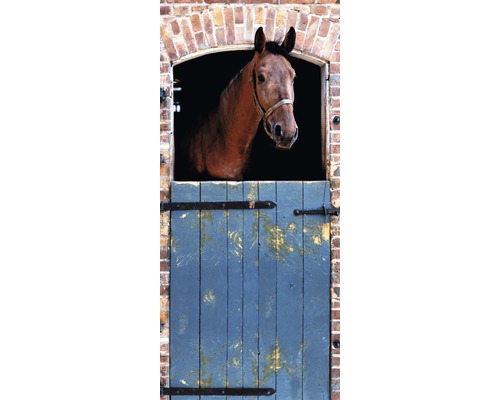Fototapete Vlies 19508 Türtapete Horse 2-tlg. 90 x 200 cm