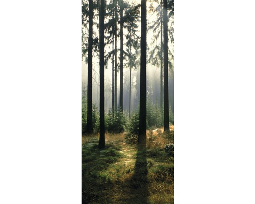 Fototapete Vlies 19599 Türtapete Forest 2-tlg. 90 x 200 cm
