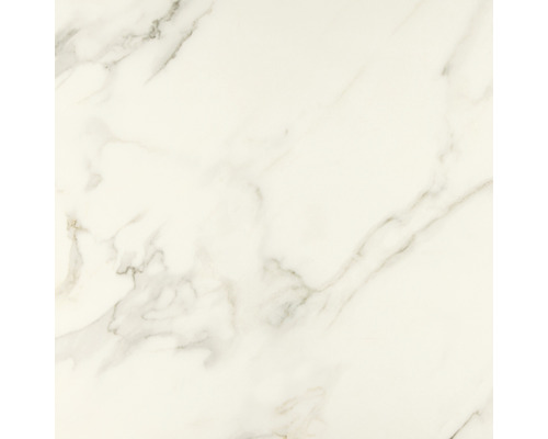 Feinsteinzeug Wand- und Bodenfliese Premium Marble Calacatta Weiß 60 x 60 cm