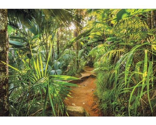 Fototapete VOL 15 Papier Jungle Trail 368 x 254 cm-0