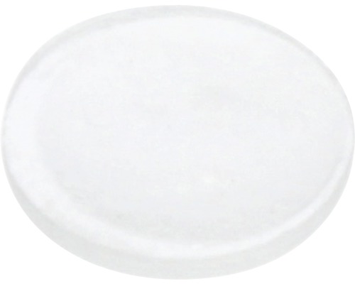Tarrox Schutzpuffer 8x1,3 mm rund transparent 50 Stück selbstklebend