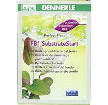 Filterbakterien DENNERLE FB1 SubstrateStart 50 g-thumb-0