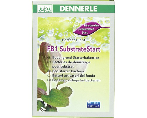 Filterbakterien DENNERLE FB1 SubstrateStart 50 g