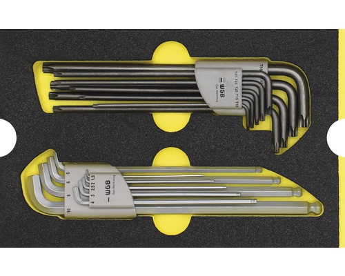 Moduleinlage Stiftschlüsselsätze Industrial Gr. M 268 x 38 x 171 mm schwarz 2-tlg TORX