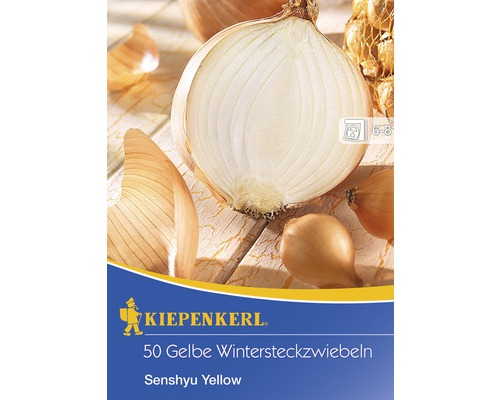 Wintersteckzwiebeln Kiepenkerl 'Senshyu Yellow' 50 Stk.