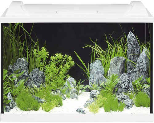 Aquarium EHEIM aquaproLED 84 mit LED-Beleuchtung, Filter, Heizer, Thermometer, Fangnetz ohne Unterschrank weiß