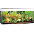 Aquarium JUWEL Rio 180 mit LED-Beleuchtung, Pumpe, Filter, Heizer ohne Unterschrank weiß