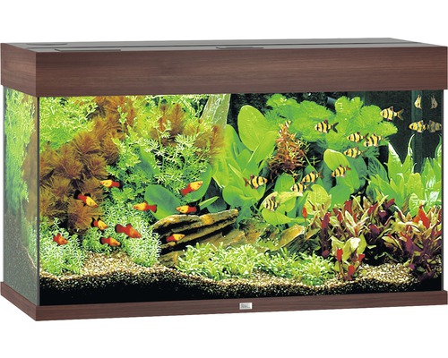 Aquarium JUWEL Rio 125 mit LED-Beleuchtung, Pumpe, Filter, Heizer ohne Unterschrank dunkles Holz