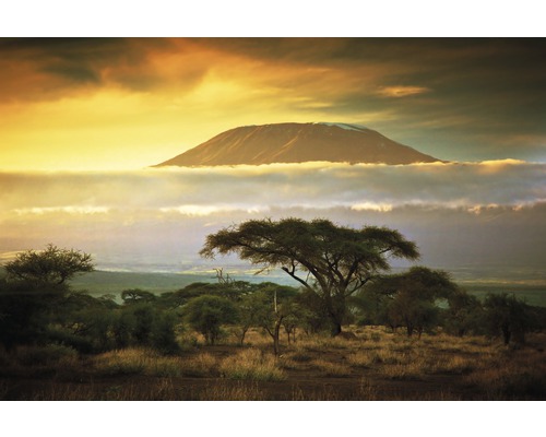 Fototapete Vlies 18350 Mount Kilimanjaro 7-tlg. 350 x 260 cm