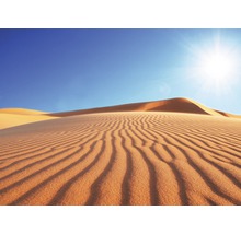 Fototapete Vlies 18318 Deserts Dune 7-tlg. 350 x 260 cm-thumb-0