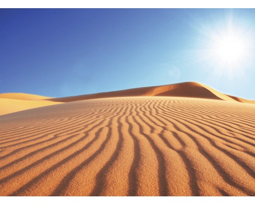 Fototapete Vlies 18318 Deserts Dune 7-tlg. 350 x 260 cm-0