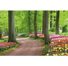 Fototapete Papier Tulips Spring Landscape 350 x 260 cm-thumb-0
