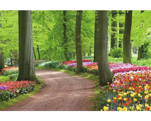 Fototapete Vlies 18352 Tulips Spring Landscape 7-tlg. 350 x 260 cm