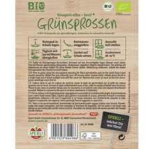 Bio-Senf-Pads für Grünsprossen-Anzuchtset, 3 Stk-thumb-1