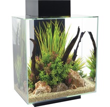 Aquarium Fluval Edge 2.0 46 l mit Innenfilter, LED-Beleuchtung, Wasseraufbereiter schwarz-thumb-0