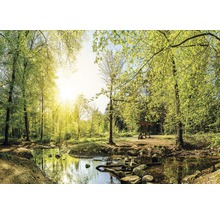 Fototapete Vlies Wald grün blau 312 x 219 cm-thumb-0