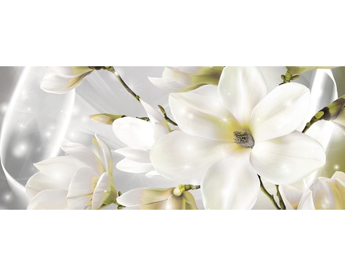 Fototapete Vlies Magnolie weiß 312 x 219 cm-0
