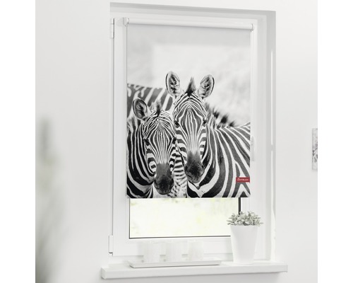 Klemmrollo Lichtblick ohne Bohren Zebra 45x150 cm inkl. Klemmträger