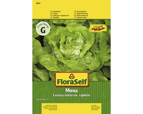 Kopfsalat 'Mona' FloraSelf samenfestes Saatgut Gemüsesamen