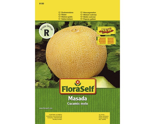 Zuckermelone 'Masada' FloraSelf F1 Hybride Gemüsesamen