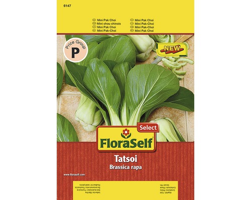 Pak Choi 'Tatsoi' FloraSelf Select samenfestes Saatgut Gemüsesamen