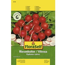 Radieschen 'Vitessa' FloraSelf samenfestes Saatgut Gemüsesamen-thumb-0