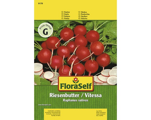 Radieschen 'Vitessa' FloraSelf samenfestes Saatgut Gemüsesamen-0
