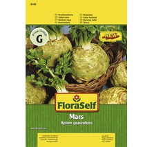 Knollensellerie 'Mars' FloraSelf samenfestes Saatgut Gemüsesamen-thumb-0