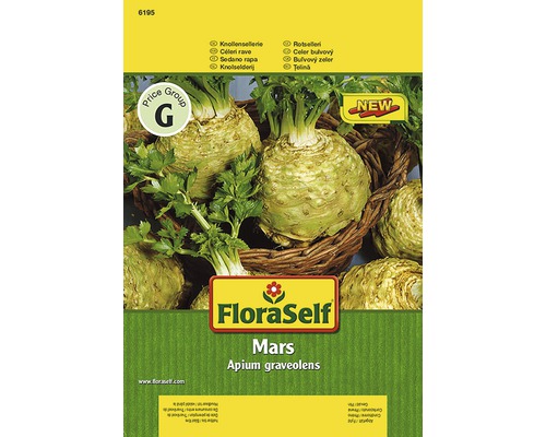 Knollensellerie 'Mars' FloraSelf samenfestes Saatgut Gemüsesamen-0