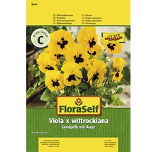 Stiefmütterchen Gelb mit Auge FloraSelf samenfestes Saatgut Blumensamen-thumb-0