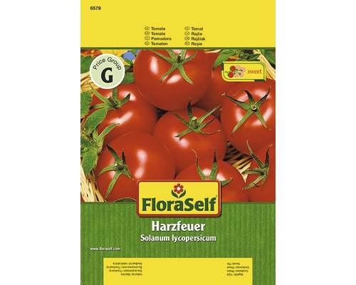 Tomate 'Harzfeuer' FloraSelf F1 Hybride Gemüsesamen