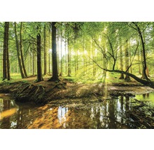 CONSALNET Fototapete Sonniger Wald im Herbst Vlies in verschiedenen Größen