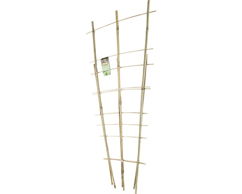 Bambus-Rankbogen Set FloraSelf H 60 + 85 cm 2 Stk
