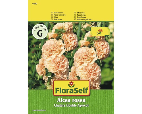 Stockrose 'Chaters Double Apricot' FloraSelf samenfestes Saatgut Blumensamen-0