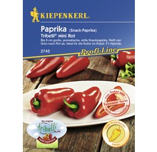 Snackpaprika 'Tribelli mini' rot Kiepenkerl Gemüsesamen-thumb-0