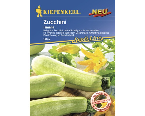 Zucchini 'Ismalia' Kiepenkerl Gemüsesamen