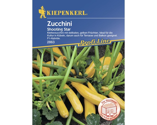Zucchini 'Shooting Star' Kiepenkerl Gemüsesamen