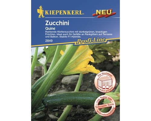 Zucchini 'Quine' Kiepenkerl Gemüsesamen