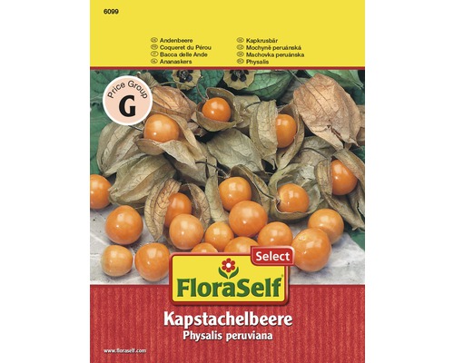 Physalis Andenbeere 'Kapstachelbeere' FloraSelf Select samenfestes Saatgut Gemüsesamen-0