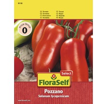 Tomate 'Pozzano' FloraSelf Select F1 Hybride Gemüsesamen-thumb-0
